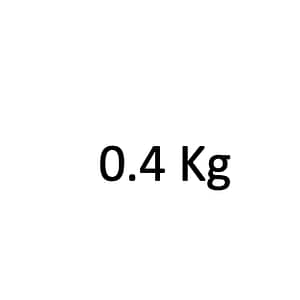 0.4 kg